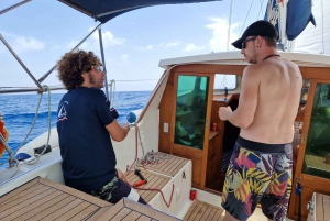 Barcelona: sailing experience, excursions lasting 2h