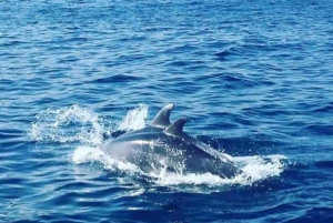 Barcelona: Seglingstur med drycker och snacks