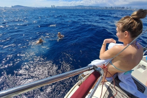 Barcelona: Segeltouren mit offener Bar und Snacks
