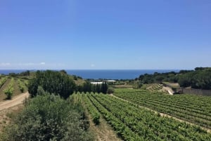 Barcelona: Sailing Trip and Local Winery Visit