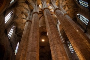 Barcelona: Santa Maria del Mar Interior/Terraces Guided Tour