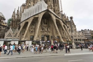 Barcelona: Sagrada Familia & Park Güell Guided Tour & Ticket