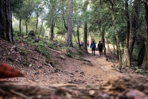 Barcelonas hemmelige skog: Vandring i naturen og den beste utsikten