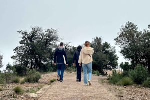 Barcelona: Semi-Private Montserrat Guided Tour by Minivan