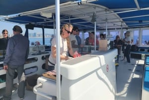 Barcelona: Jaettu risteily chill-musiikin kanssa (+ tervetuliaisjuoma)