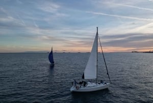 Sailing Tour with Drinks and Swim Stop