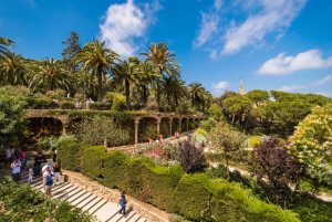 Barcelona: Skip-the-Line Park Güell Guided Walking Tour