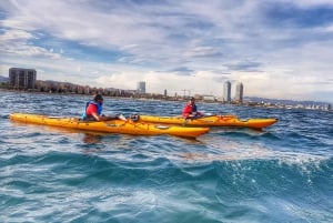 Barcelona: Skyline Kayaking Coupled with Delicious Tapas