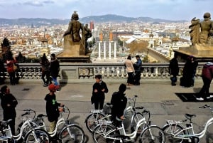 Barcellona: Tour per piccoli gruppi o tour privato in bicicletta