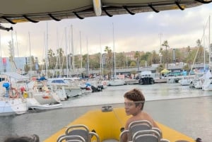 バルセロナ：スピードボートのスカイラインビュー