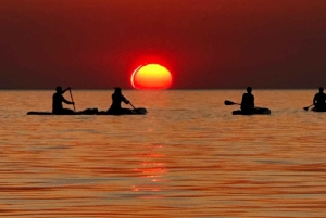 Barcelona: Paddleboard-Tour bei Sonnenaufgang mit Fotos & Frühstück