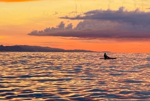 Barcelona: Paddleboard-Tour bei Sonnenaufgang mit Fotos & Frühstück
