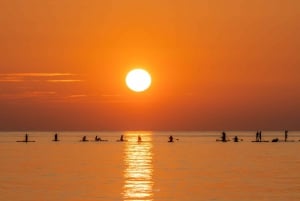 Barcelona: Paddleboarding ao nascer do sol com instrutor e fotos