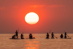 Barcelona: Auringonnousun paddleboarding ohjaajan kanssa ja valokuvat