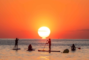 Barcelona: Auringonnousun paddleboarding ohjaajan kanssa ja valokuvat