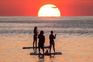 Barcelona: Auringonnousun paddleboarding ohjaajan kanssa ja valokuvat