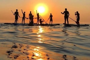 Barcelona: Sunrise & Sunset Paddle Surf Experience