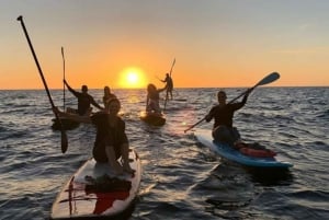 Barcelona: Sunrise & Sunset Paddle Surf Experience