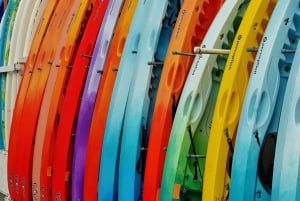 Barcelona: Sunrise & Sunset Paddle Surf Experience