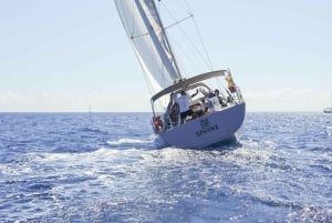 Barcelone : Croisière au coucher du soleil ou dans l'après-midi avec boissons