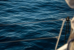 Barcelona: Sunset Catamaran Cruise with Wine and Tapa
