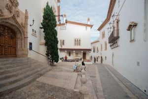 Barcelona: Tarragona y Sitges: Excursión guiada de un día con traslados