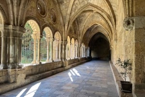 Barcelona: Tarragona och Sitges guidad dagsutflykt med transfer