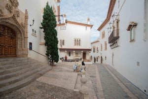 Barcelona: Tarragona och Sitges guidad dagsutflykt med transfer