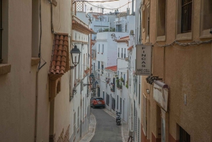 Barcelona: Tarragona och Sitges guidad dagsutflykt med transfer