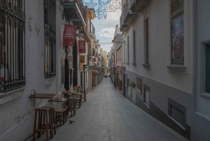 Barcelona: Tarragona och Sitges guidad dagsutflykt med transfer