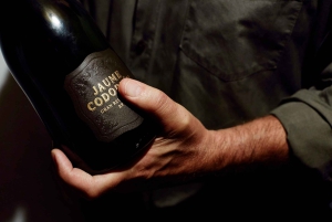 Barcelona: Wycieczka z przewodnikiem po Casa Codorníu z degustacją wina Cava