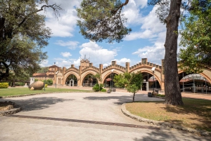 Barcelona: Wycieczka z przewodnikiem po Casa Codorníu z degustacją wina Cava