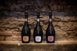 Barcelona: Wycieczka z przewodnikiem po Casa Codorníu z degustacją wina Cava