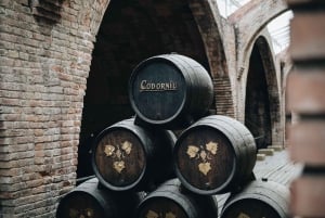 Barcelona: Wycieczka z przewodnikiem po Casa Codorníu z degustacją wina Cava