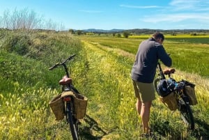 From Barcelona : E-Bike across Girona Province & Costa Brava