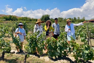 Barcelona: Torres Winery Tour with Brunch & Wine Tasting