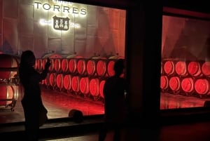 Barcelona: Torres Winery Tour with Brunch & Wine Tasting