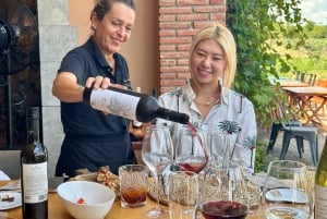 Barcelona: Torres Winery Tour with Brunch & Wine Tasting