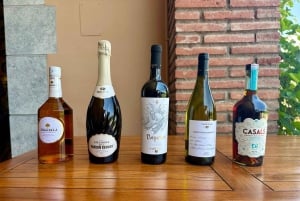 Barcelona: Torres Winery Tour with Brunch & Wine Tasting