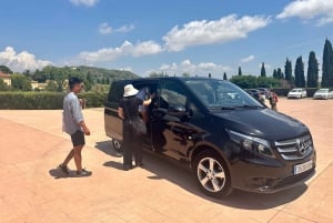 Barcelona: Torres Winery Tour with Brunch & Wine Tasting