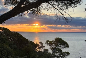 Barcelona: Tossa de Mar & Costa Brava heel kleine groep