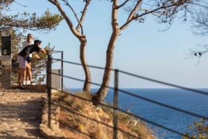 Из Барселоны: однодневная поездка в Тосса-де-Мар с небольшой группой