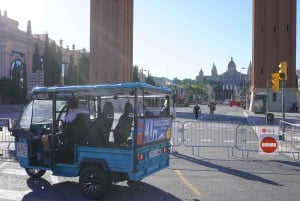 Barcelone : visite en tuk-tuk électrique