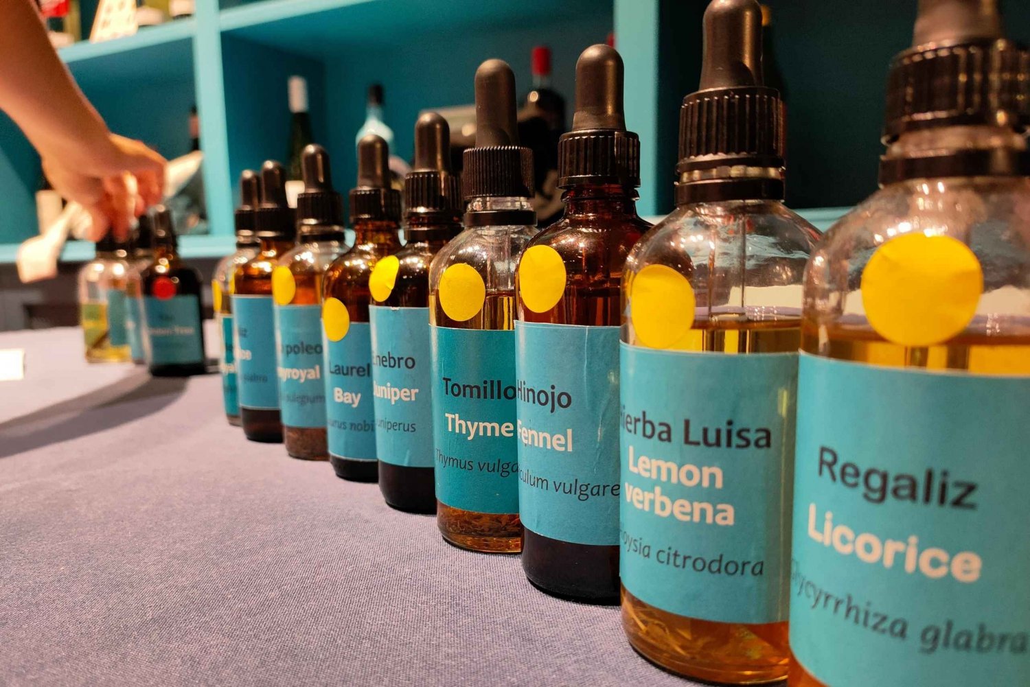 Barcelona: Vermouth Tasting and Crafting Workshop