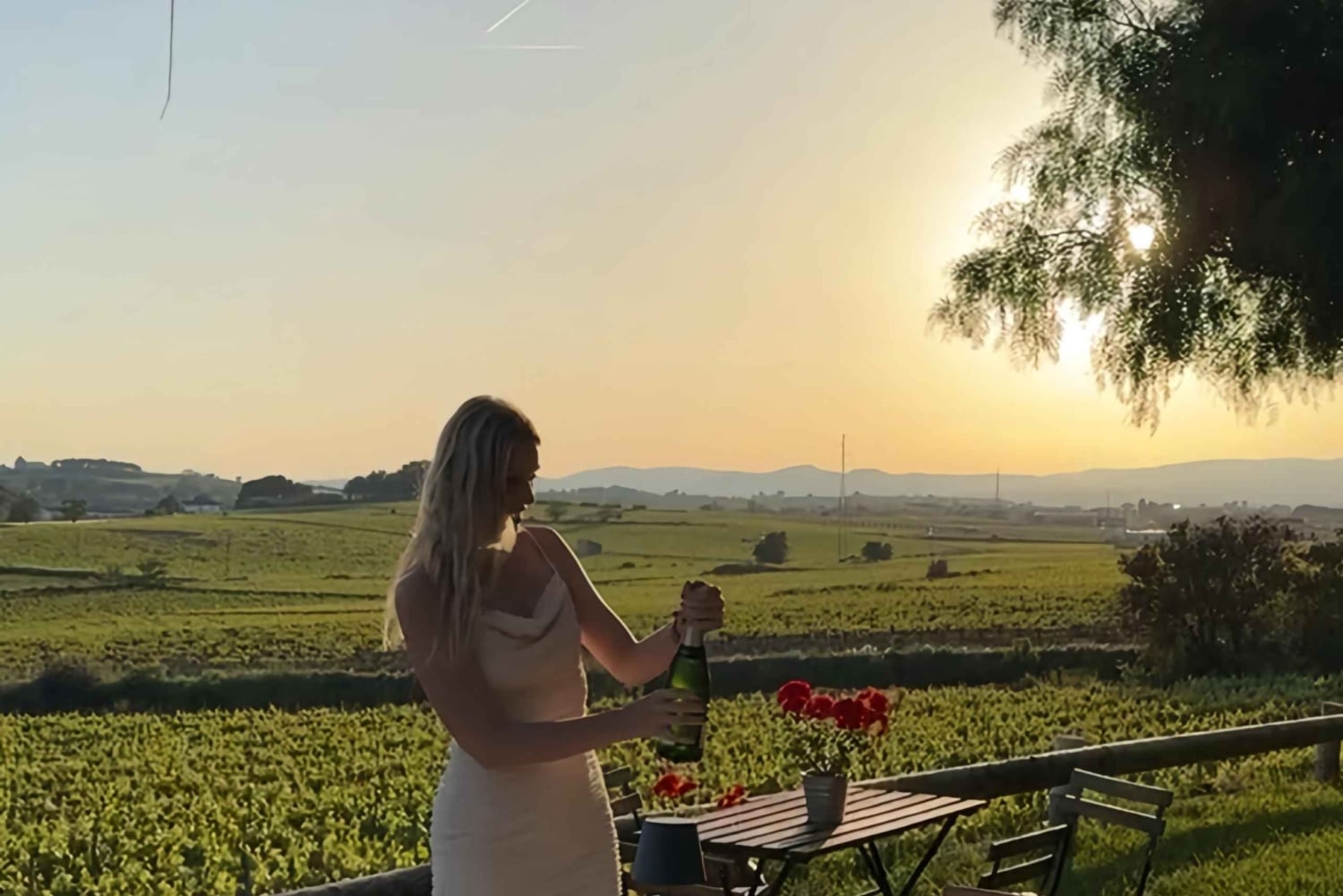 Barcellona: Cavalcata nei vigneti e degustazione di vini + tapas