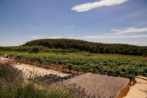Barcelona: Ridning på vingård og vinsmagning + tapas