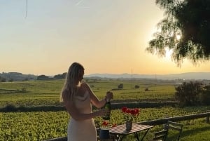 Barcellona: Cavalcata nei vigneti e degustazione di vini + tapas