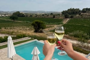 Barcellona: Cavalcata nei vigneti e degustazione di vini + tapas