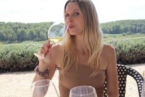 Barcellona: Cavalcata nei vigneti e degustazione di vini + tapas