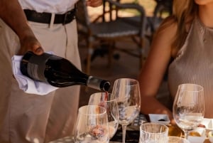 Barcellona: Cavalcata nei vigneti e degustazione di vini + tapas